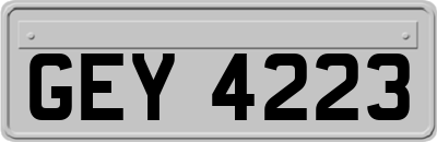 GEY4223