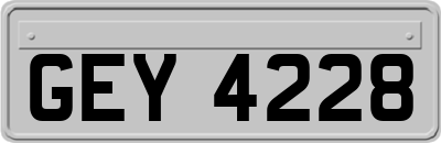 GEY4228