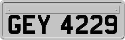 GEY4229