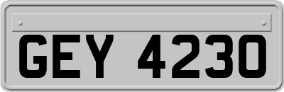 GEY4230