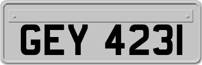 GEY4231