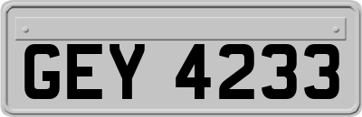 GEY4233