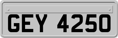 GEY4250