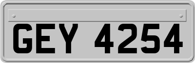 GEY4254