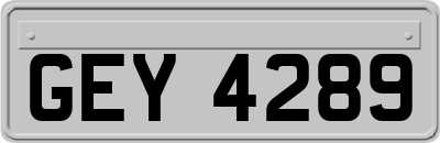GEY4289