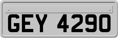 GEY4290