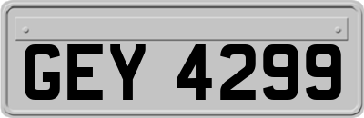 GEY4299