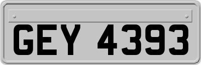 GEY4393