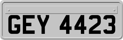 GEY4423