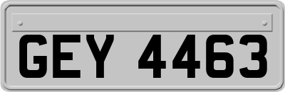 GEY4463