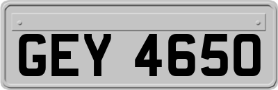 GEY4650