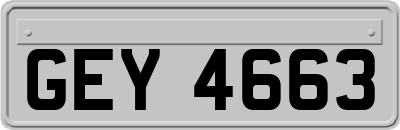 GEY4663