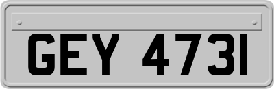 GEY4731