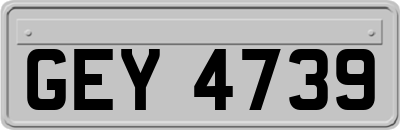 GEY4739