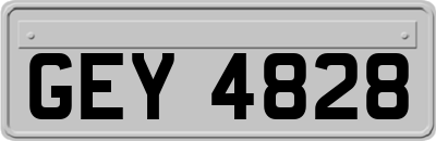 GEY4828