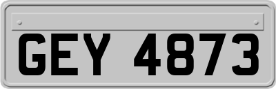 GEY4873