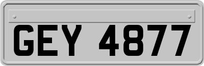 GEY4877