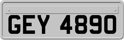 GEY4890