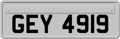 GEY4919