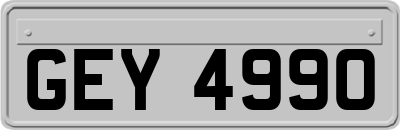 GEY4990