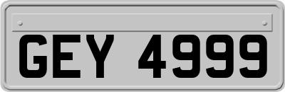 GEY4999