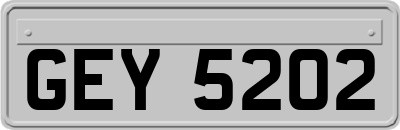 GEY5202