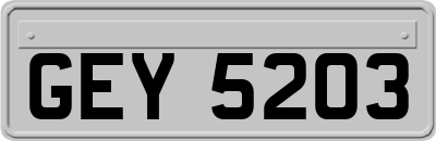 GEY5203