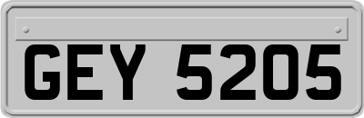 GEY5205