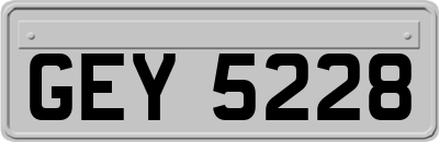 GEY5228