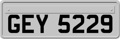 GEY5229