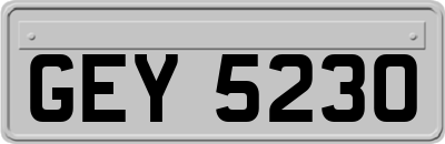 GEY5230