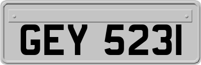 GEY5231