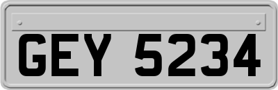 GEY5234
