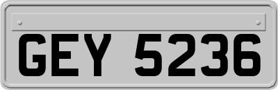 GEY5236