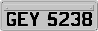 GEY5238