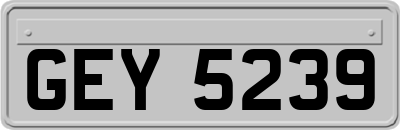 GEY5239
