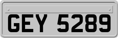 GEY5289