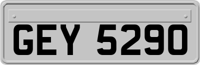 GEY5290