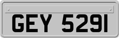 GEY5291