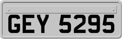 GEY5295