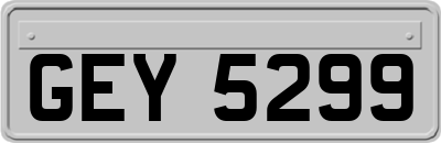 GEY5299