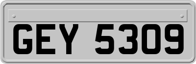 GEY5309