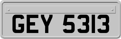 GEY5313