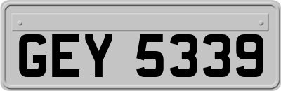 GEY5339