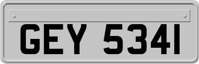 GEY5341