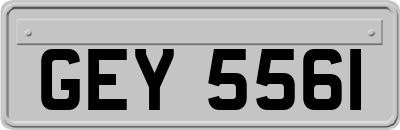 GEY5561