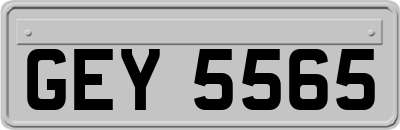 GEY5565