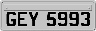 GEY5993