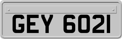 GEY6021