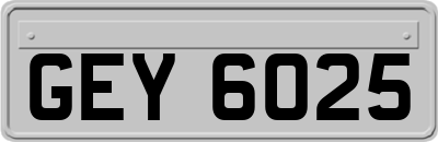 GEY6025